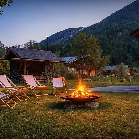 Manchot - Ovo Network Chamonix